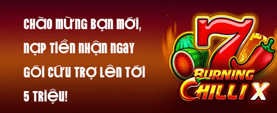 Thưởng Nạp Lại Hàng Ngày 10% promotion